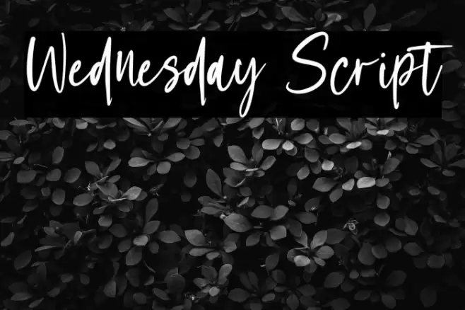 Wednesday Script Fuentes examples