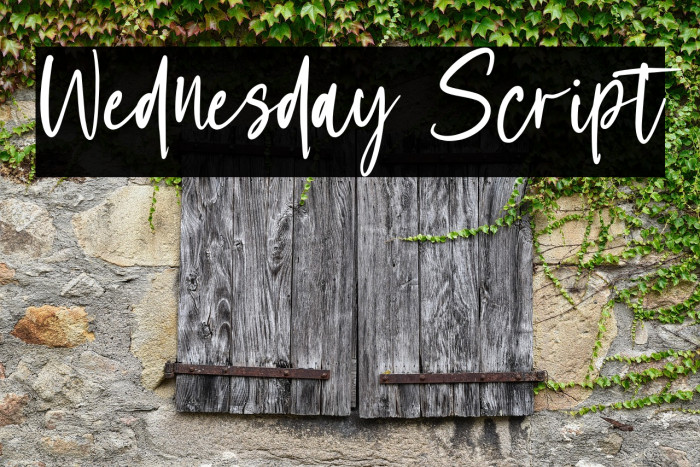 Wednesday Script Example 3
