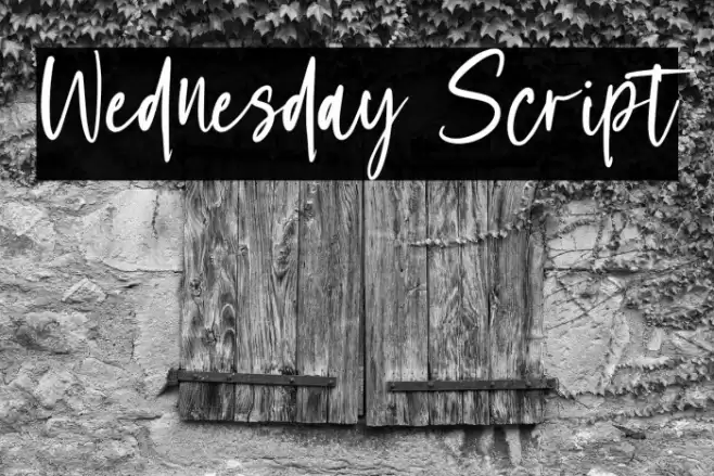 Wednesday Script Fuentes examples