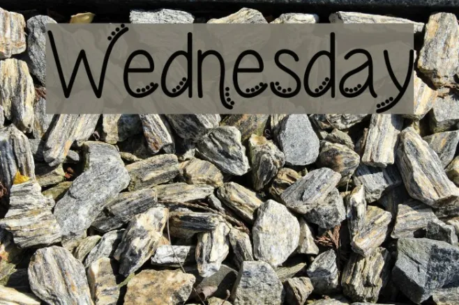 Wednesday Example 3