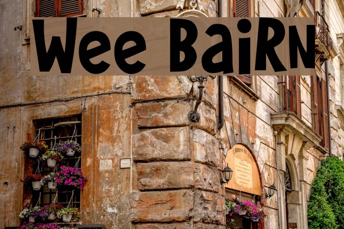 Wee Bairn Font examples