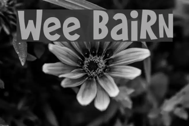 Wee Bairn Font examples