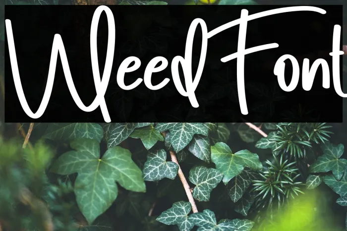 Weed Example 2