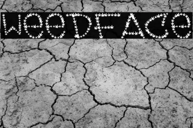 Weedface Font examples