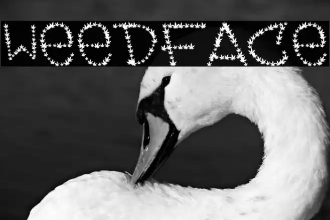 Weedface Font examples