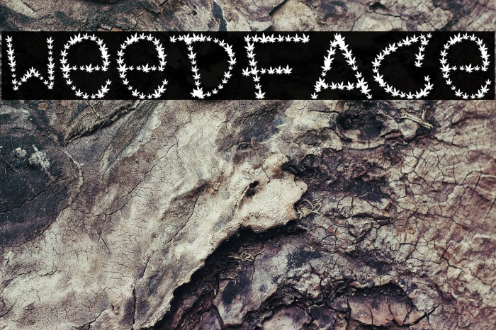 Weedface Schriftart examples