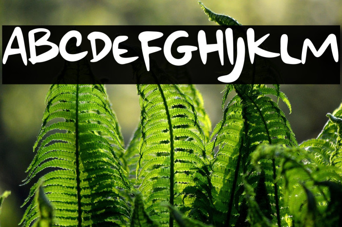 Weekend At Home Example 1