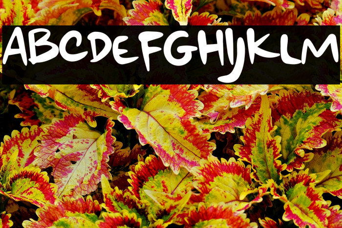 Weekend At Home Example 2