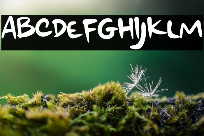 Weekend At Home Example 3