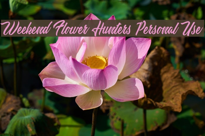 Weekend Flower Hunters Personal Use Font examples