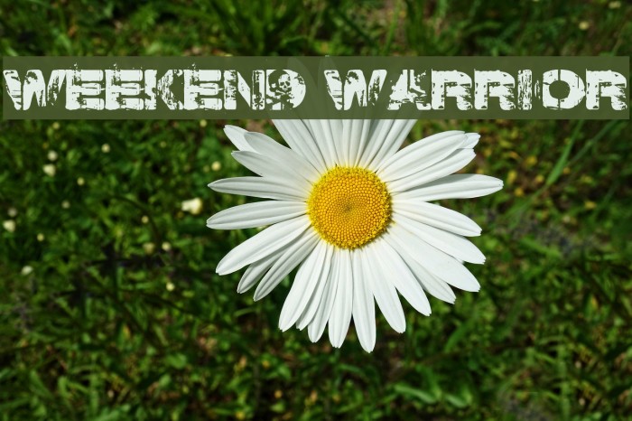 Weekend Warrior Font examples