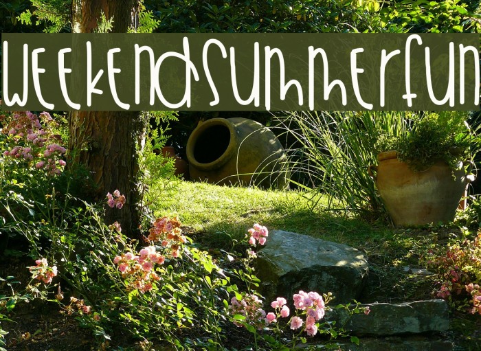 WeekendSummerFun Example 1