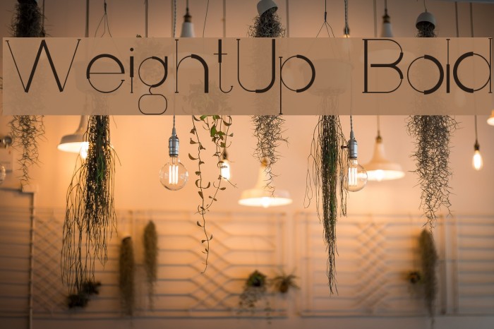 WeightUp-Bold Example 1