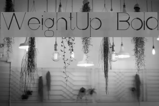 WeightUp-Bold Font examples