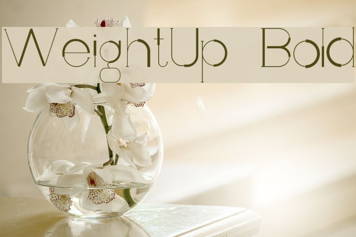 WeightUp-Bold Example 2