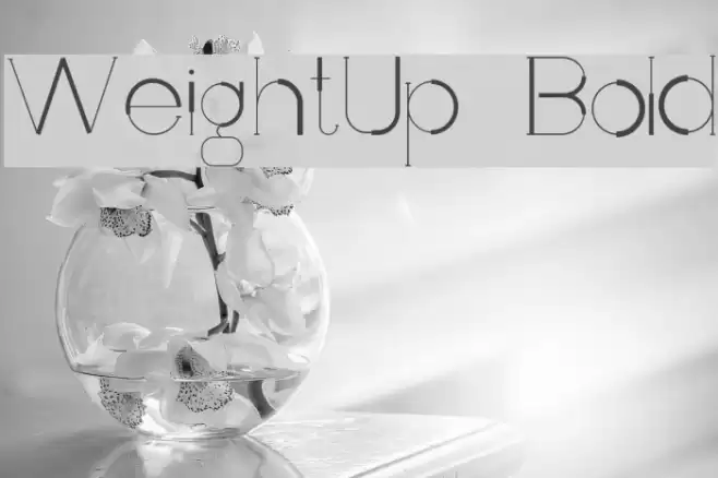 WeightUp-Bold Font examples