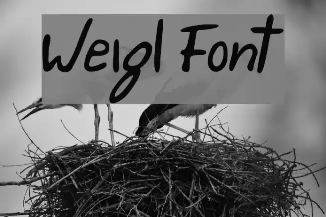 Weigl Font examples