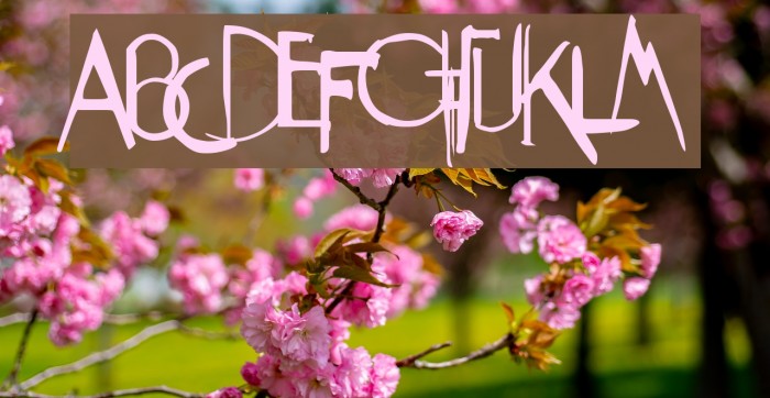 Weimar Regular Font examples