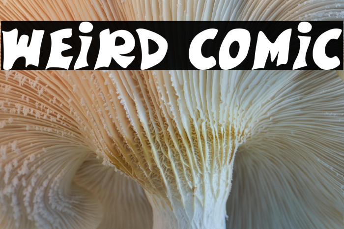 Weird Comic Example 1