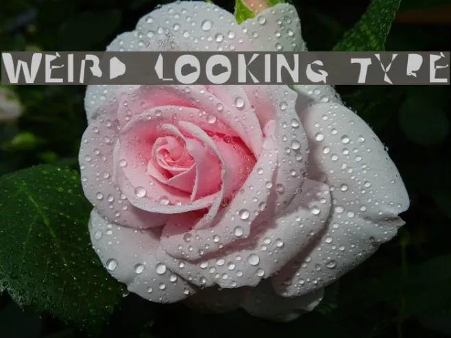 Weird Looking Type Example 1