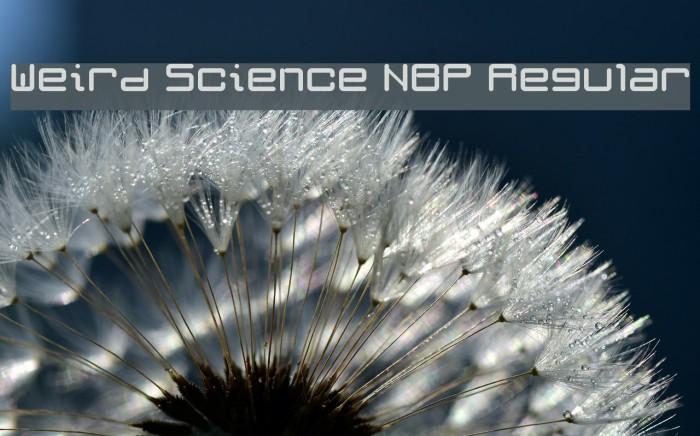 Weird Science NBP Regular Font examples