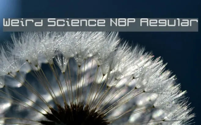 Weird Science NBP Regular Example 2
