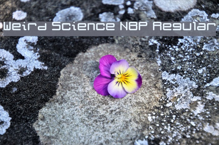 Weird Science NBP Regular Font examples