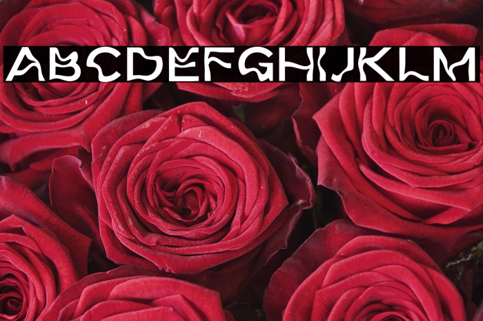 Weird Words DEMO Example 1