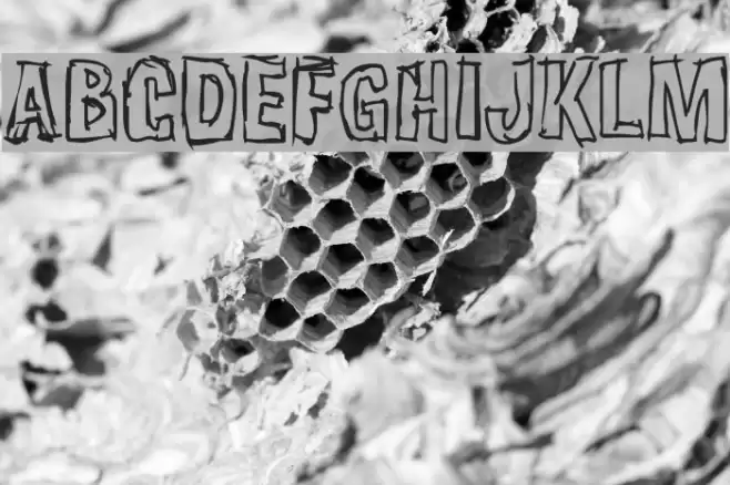Weirdmojo Font examples