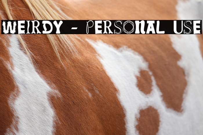 Weirdy - Personal Use Example 1