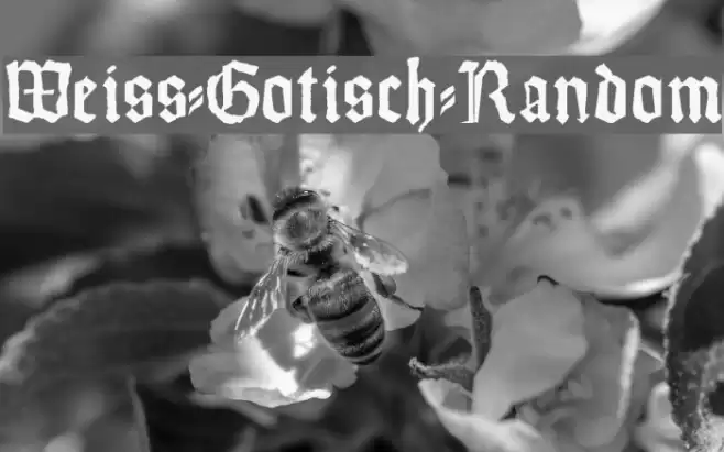 Weiss-Gotisch-Random Font examples