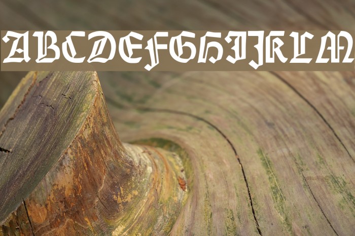 Weiss-Gotisch Font examples