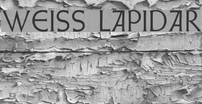 Weiss Lapidar Font examples