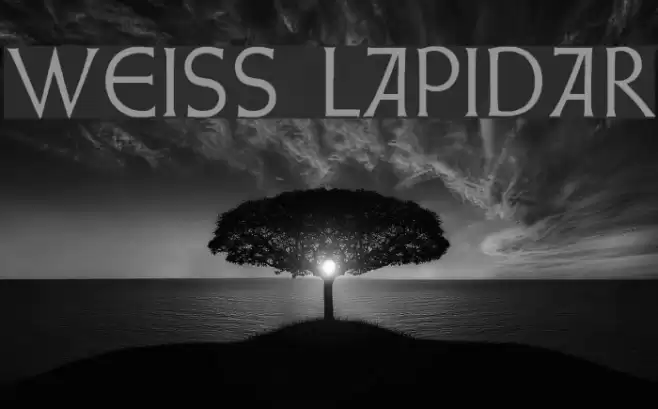 Weiss Lapidar Font examples