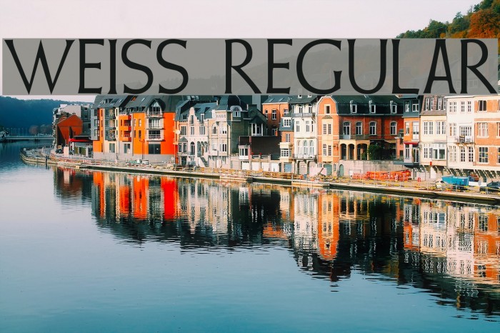 Weiss Regular Font examples
