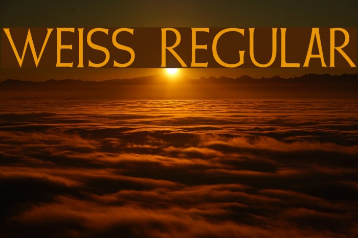 Weiss Regular Font examples