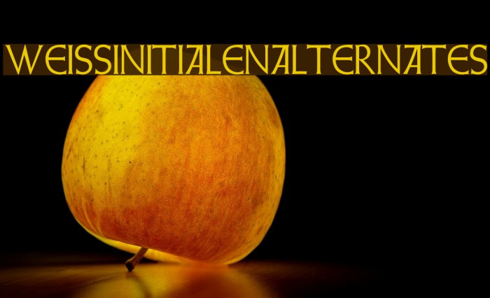 WeissInitialenAlternates Fonte examples