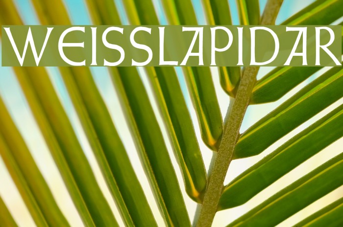 WeissLapidar Font examples