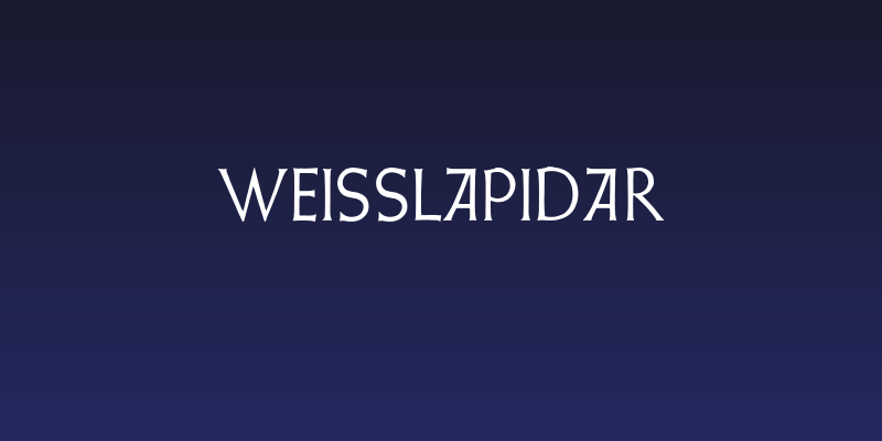WeissLapidar Social Header