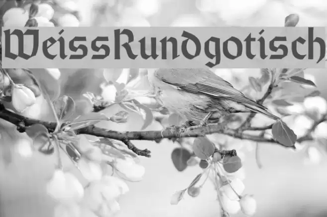 WeissRundgotisch Font examples