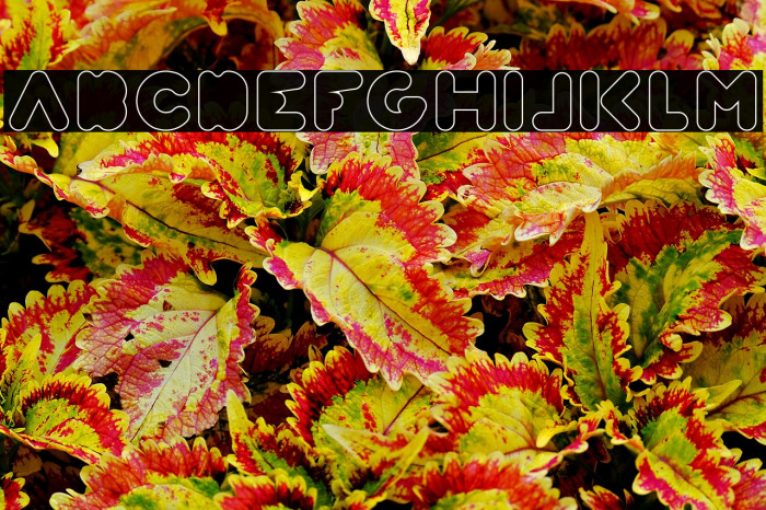 Weknow world-Hollow Example 3