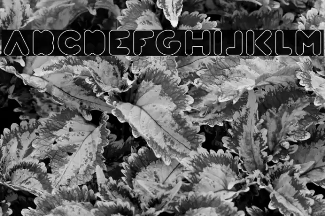 Weknow world-Hollow Font examples