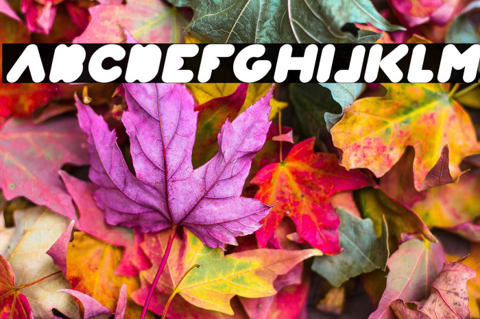 Weknow world Italic Example 1