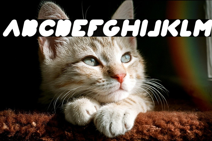 Weknow world Italic Example 2