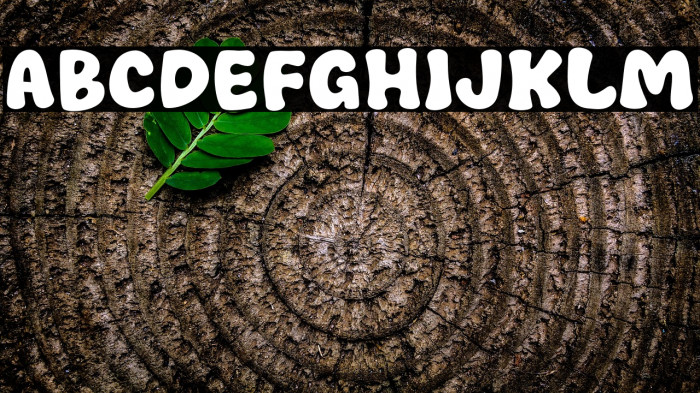 Welah Nuts Example 1