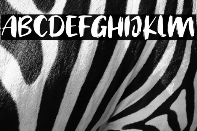 Welcome 2019 フォント examples