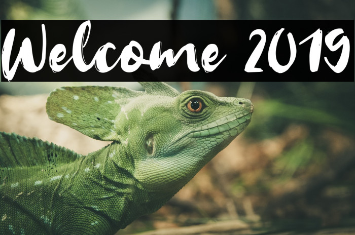 Welcome 2019 Font examples