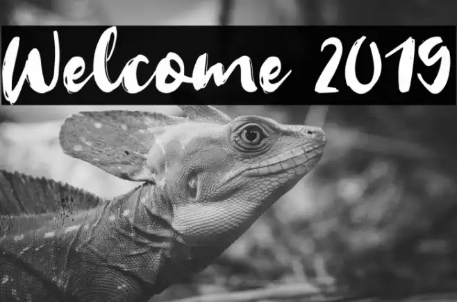 Welcome 2019 Schriftart examples