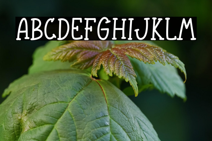 Welcome Autumn Example 1