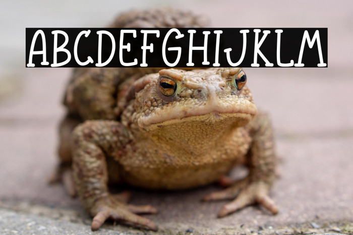 Welcome Autumn Example 2